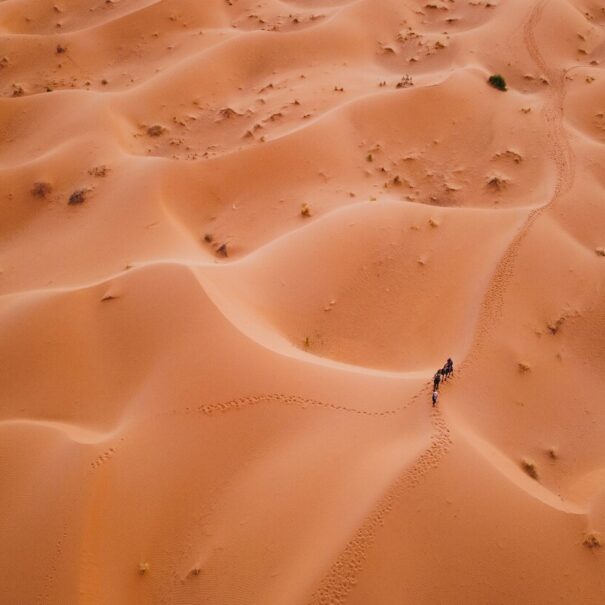 8 Days Desert Tour from Marrakech to Fes